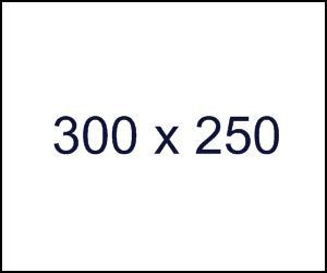 300x250